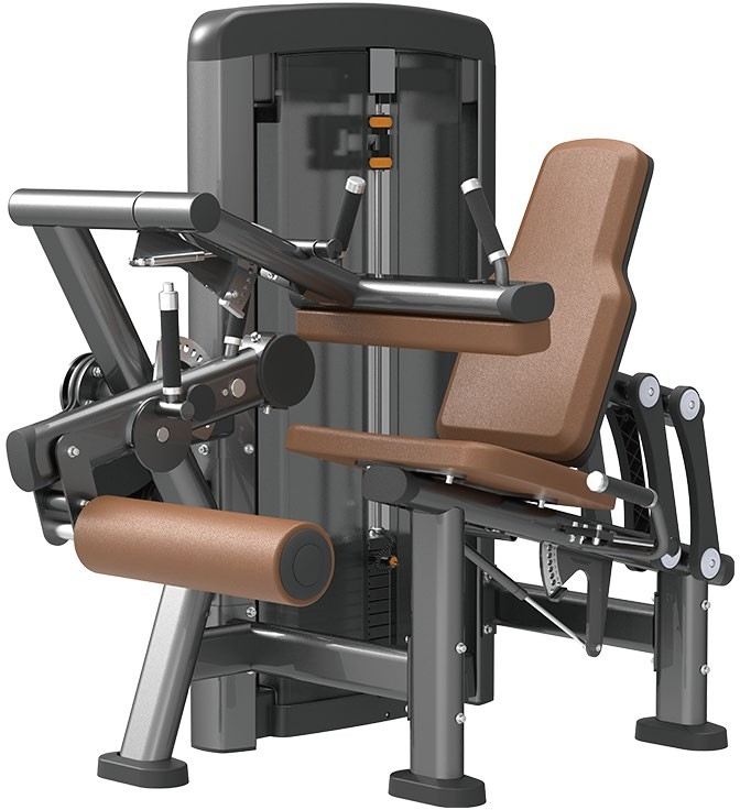 SN1516 Leg Curl & Extension